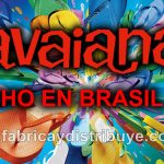 Ojotas Havaianas Originales